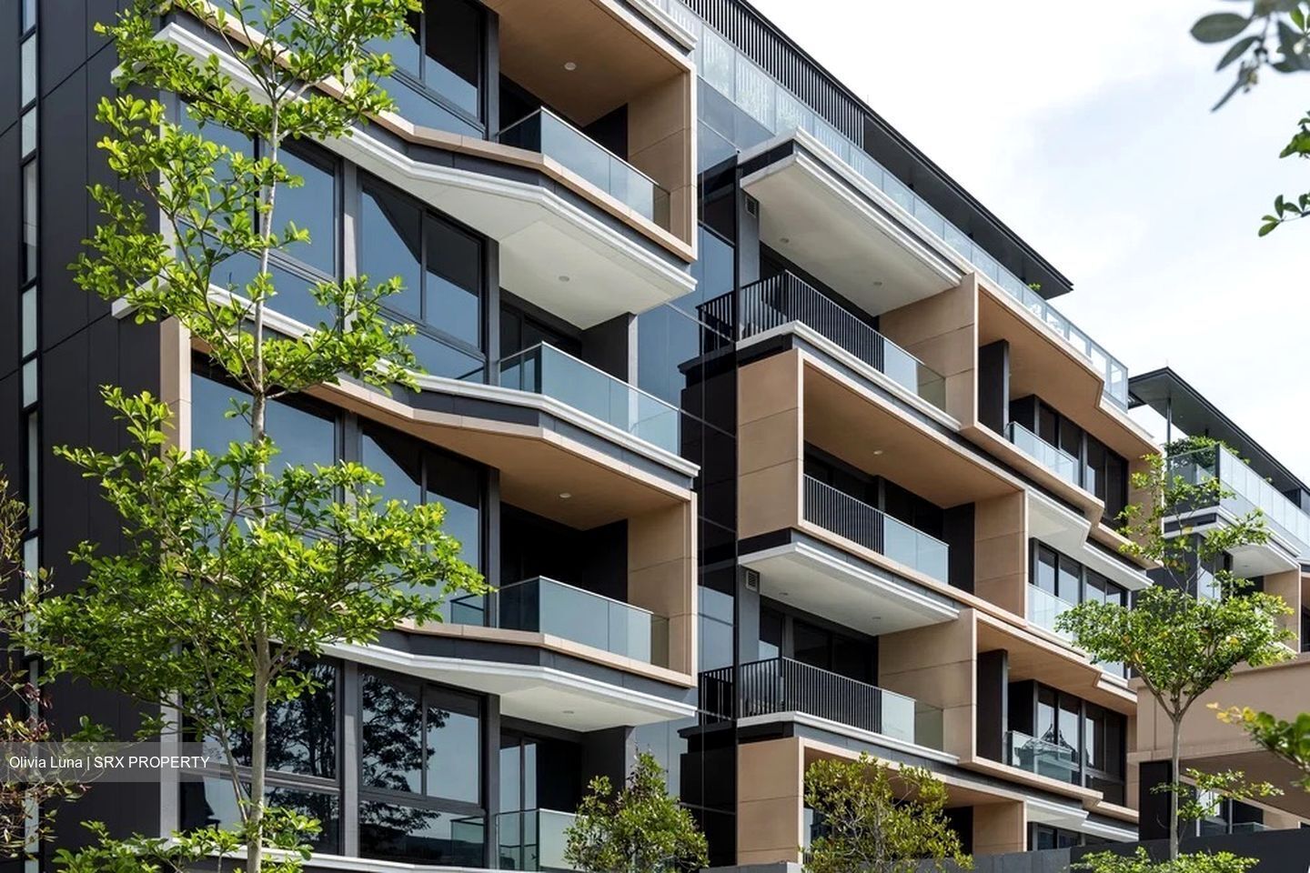 Peak Residence (D11), Condominium #529395431
